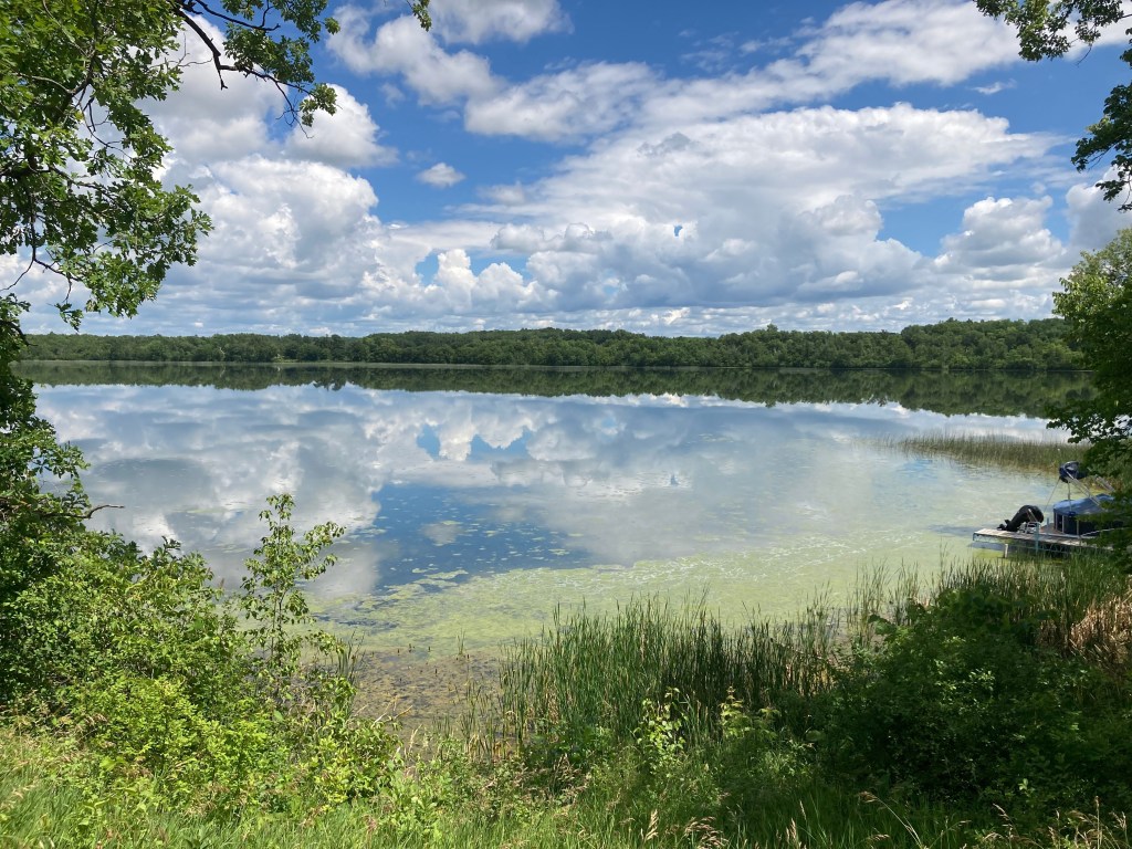 22 Ways to Celebrate the Earth in&nbsp;’22