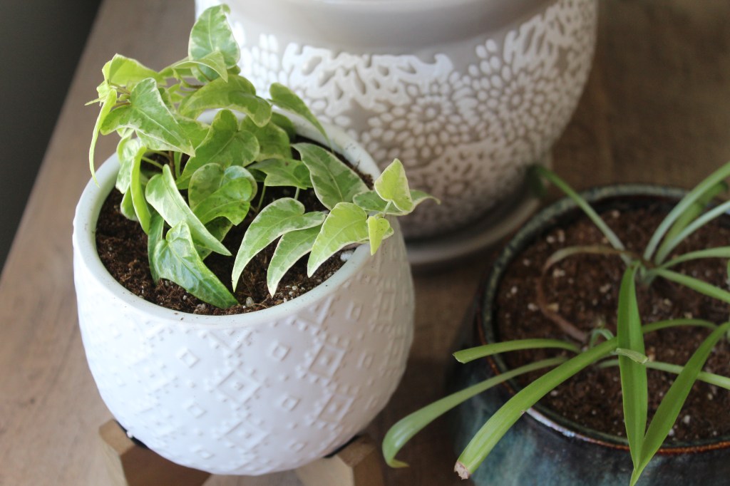 3 BIG Reasons NOT To Define Your Home and Decorating&nbsp;Style