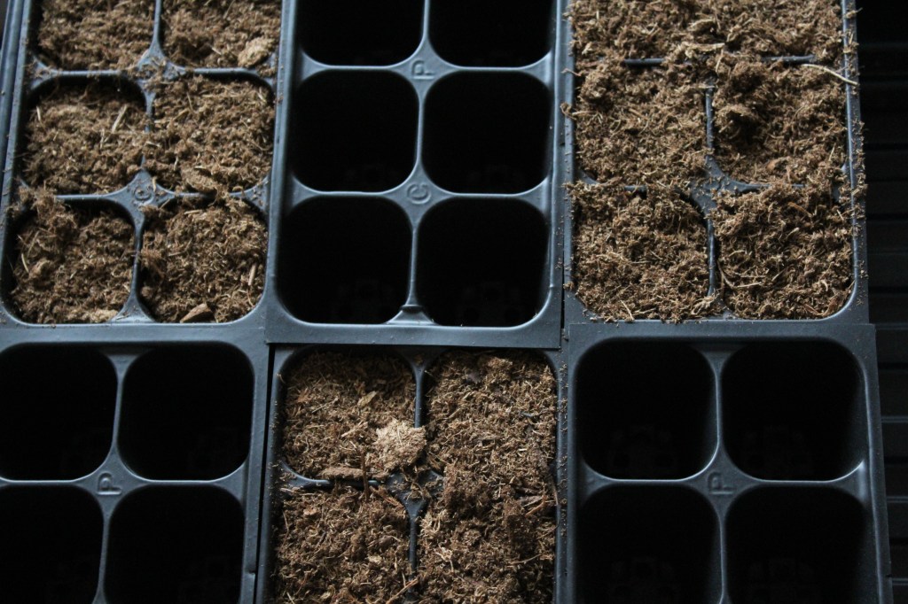 Indoor Seed Starting Guide and&nbsp;Timeline