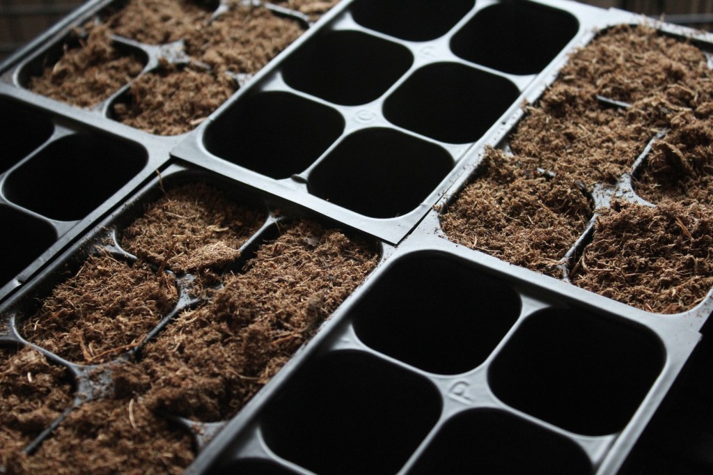 Seed Starting Records&nbsp;Template