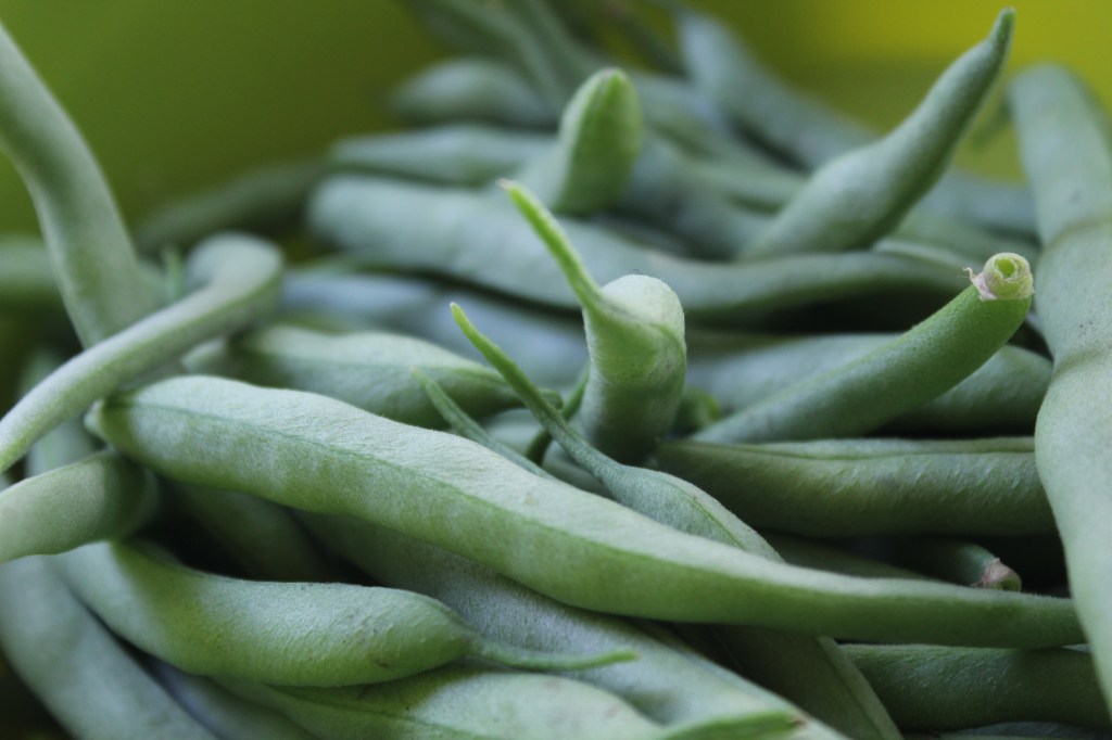 How to Blanch and Freeze Green&nbsp;Beans