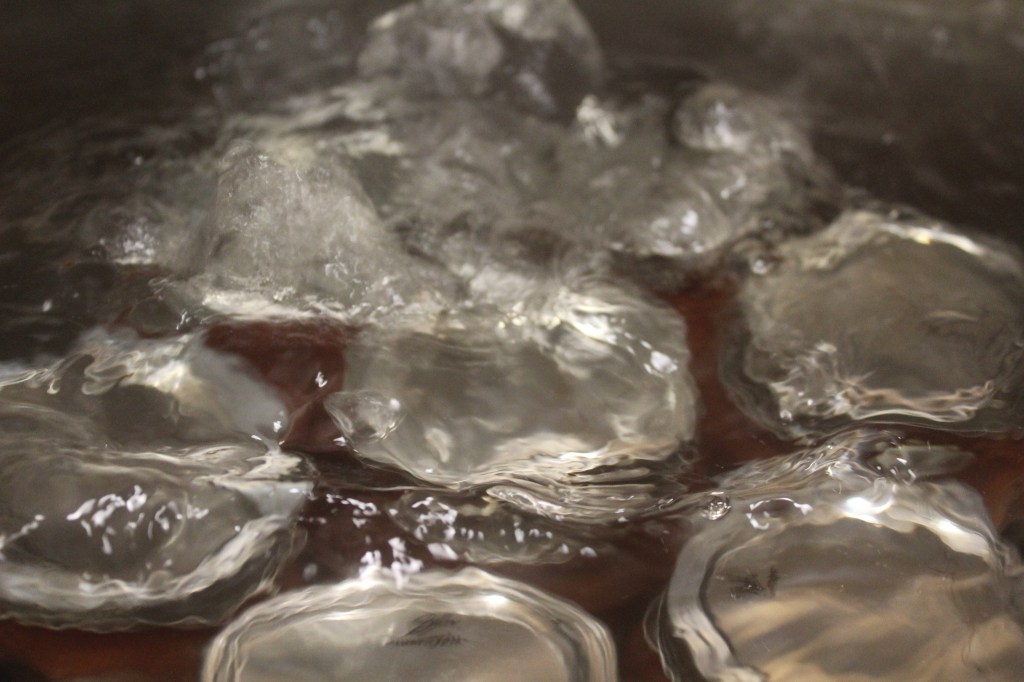 Water Bath Canning Made&nbsp;Easy