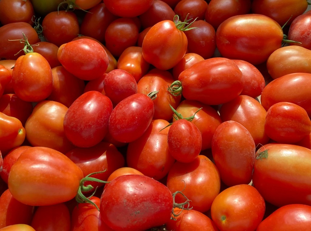 Ways to Preserve Fresh&nbsp;Tomatoes