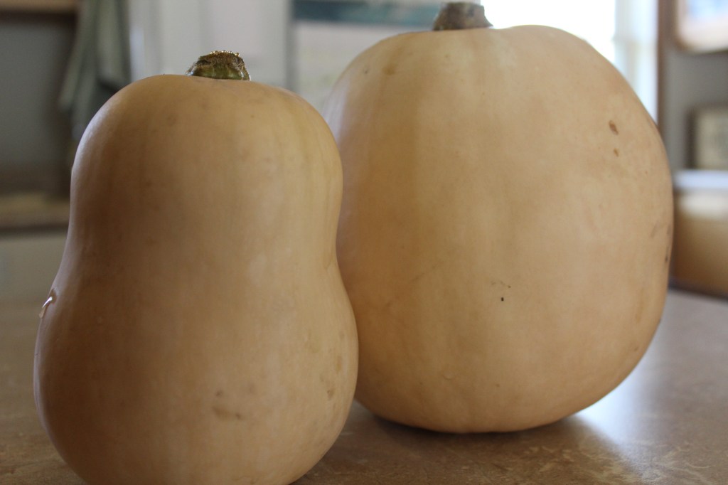 How to Blanch & Freeze Butternut&nbsp;Squash