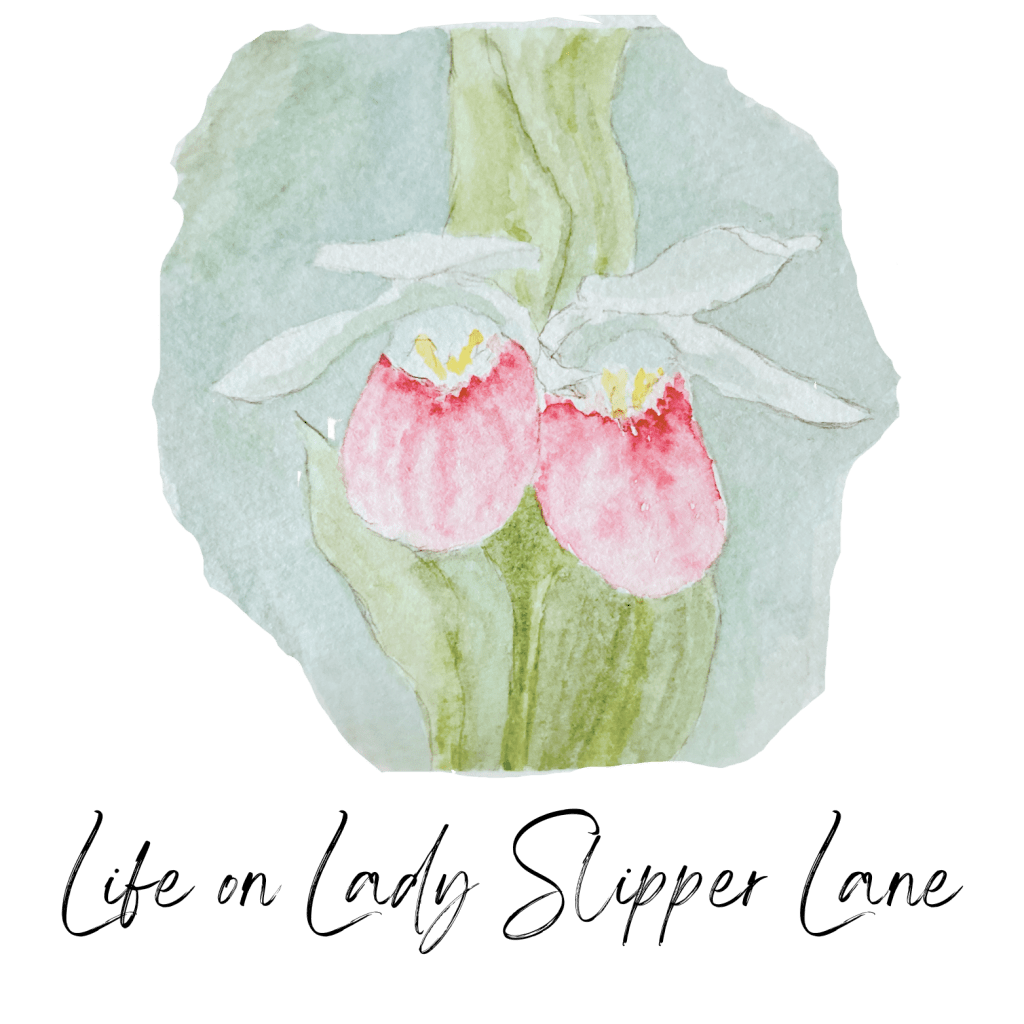 NOTICE:  We are changing our name and&nbsp;URL!