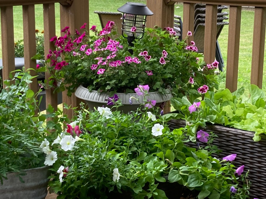 Annual Flower Planter&nbsp;Designs