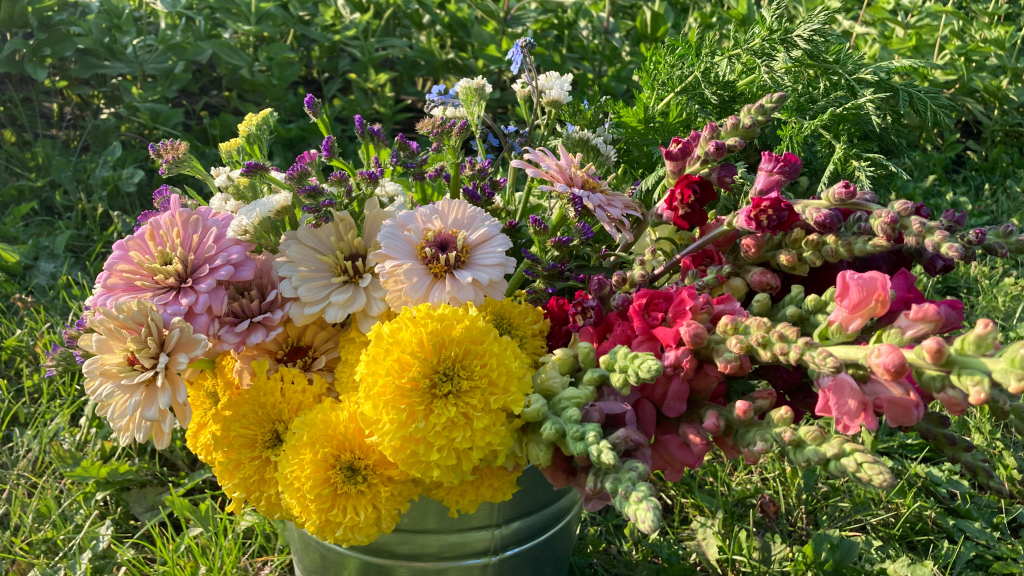 A Grower’s Guide to Making Cut Flowers Last